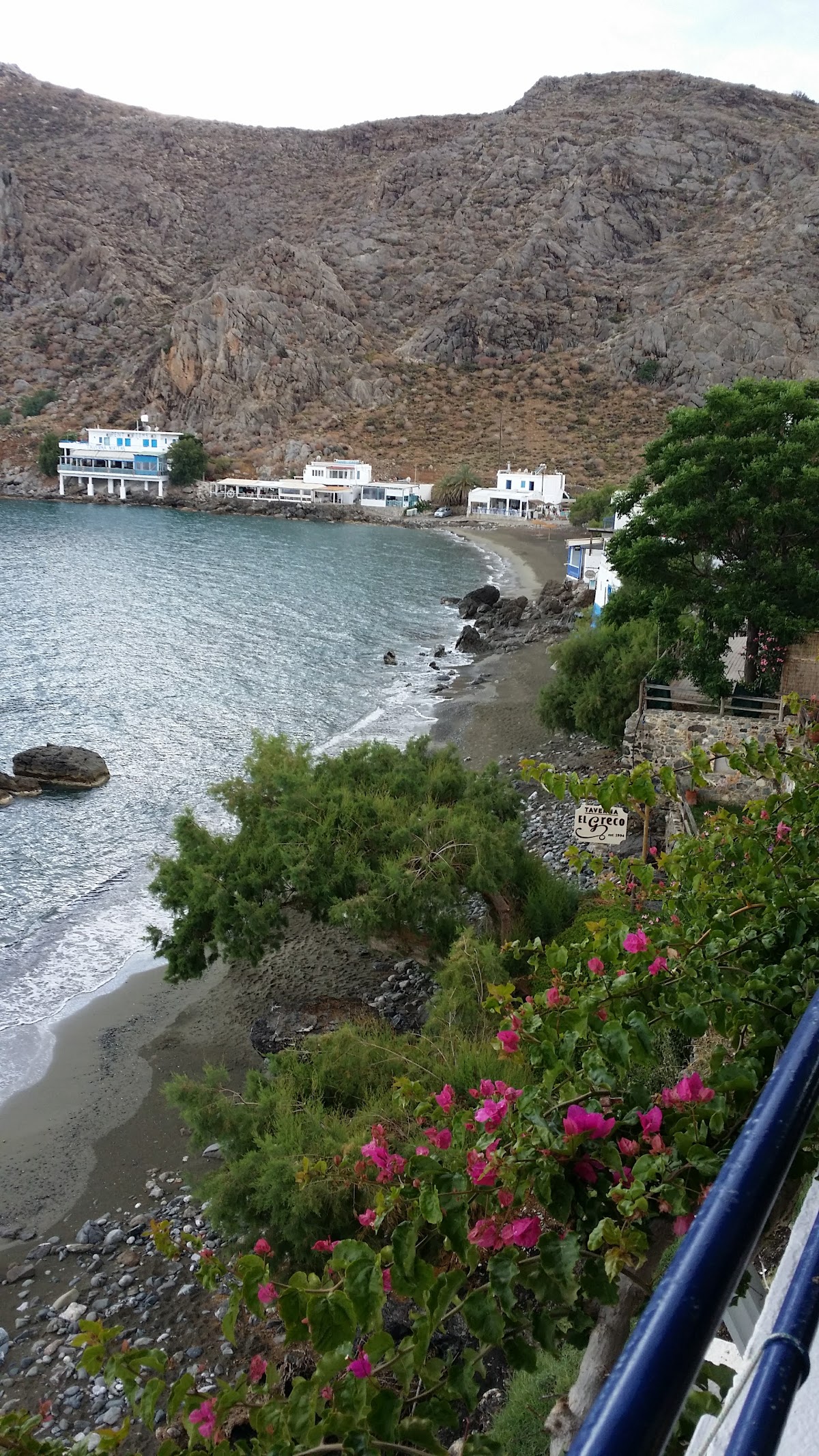Lentas