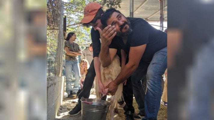 Cretan Farm - Experience Life as a Farmer!